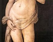 Venus - 洛伦佐·迪·克雷蒂